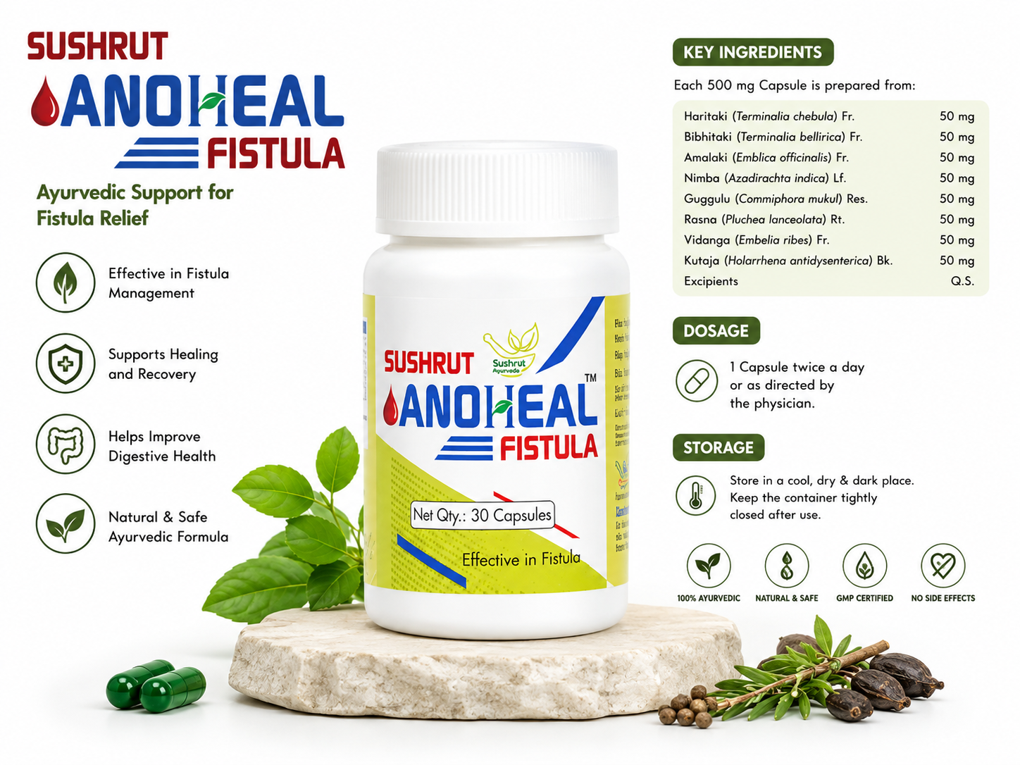 Sushrut Anoheal Fistula - Image 3